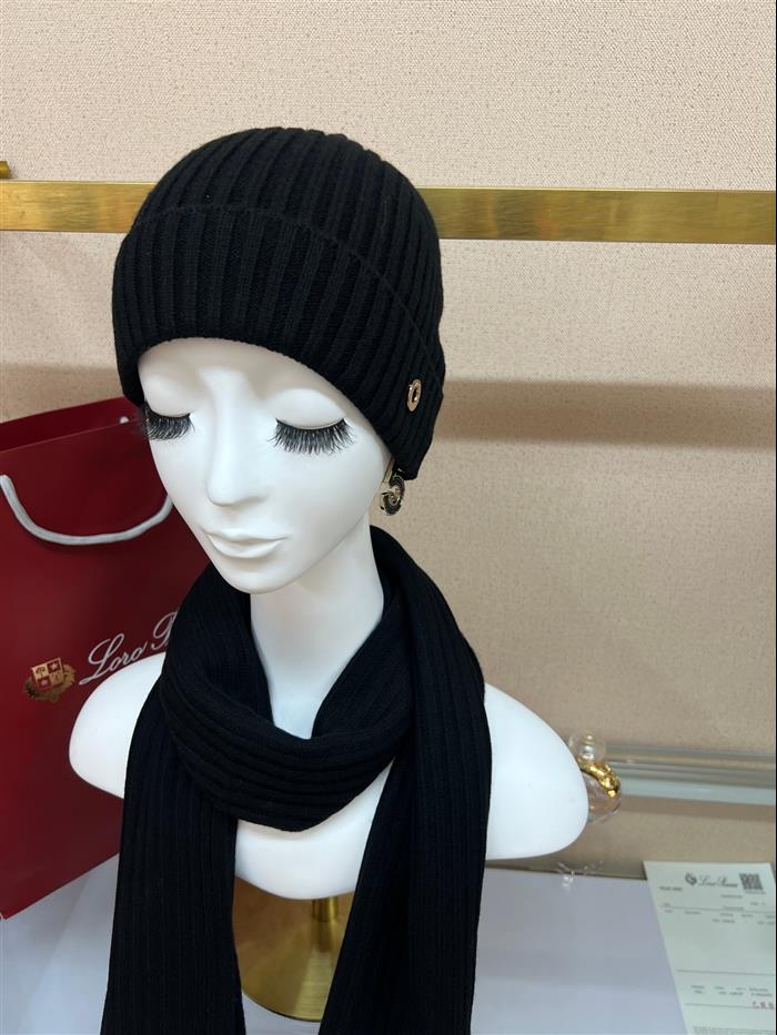 2026116112024196 100